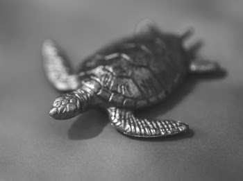 Free Photo of animal, background, black and white