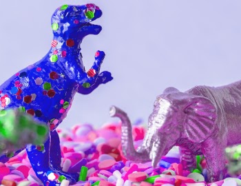 Free Photo of animal, birthday, bonbon