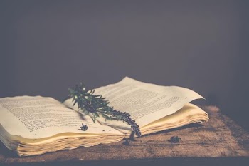 Free Photo of antique, book, table