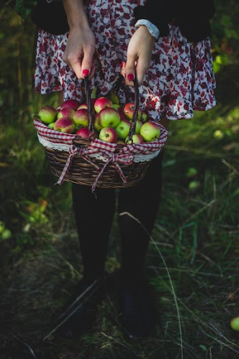 Free Photo of apple, basket, fruit