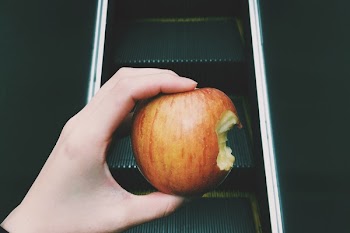Free Photo of apple, fruit, food