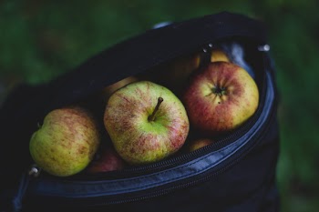 Free Photo of apples, fruits, food