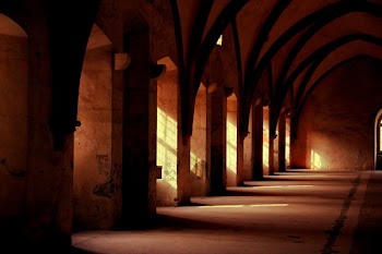 Free Photo of arches, ceiling, building
