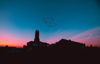 Free Photo of architecture, building, infrastructure