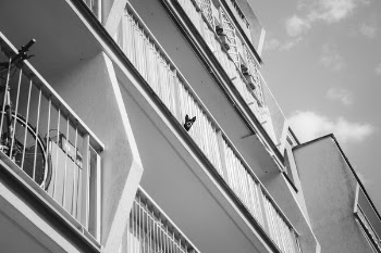 Free Photo of architecture, building, infrastructure