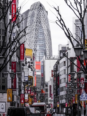 Free Photo of architecture, building, infrastructure
