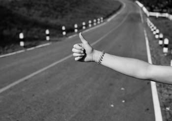 Free Photo of arm, gesture, hand
