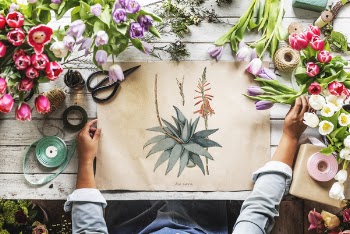 Free Photo of arrangement, art, craft