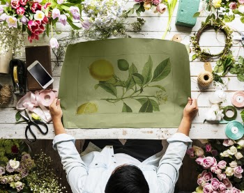 Free Photo of arrangement, art, craft