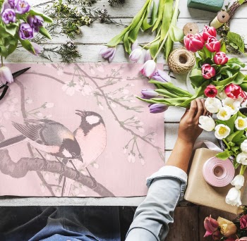 Free Photo of arrangement, art, craft