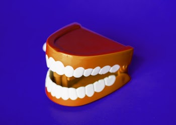 Free Photo of artificial, background, bite