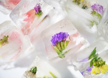 Free Photo of artisan, background, bartending