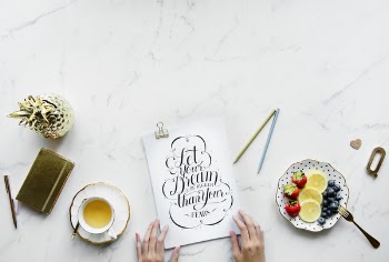 Free Photo of artist, blogger, blueberry