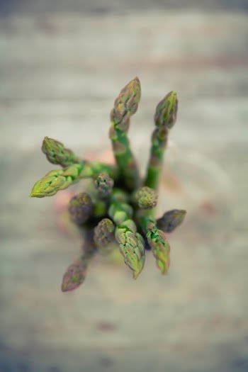 Free Photo of asparagus, vegetables, green