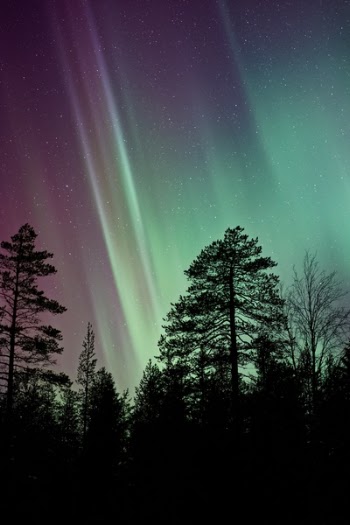 Free Photo of aurora, green, light