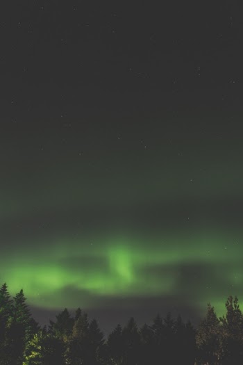 Free Photo of aurora, green, space
