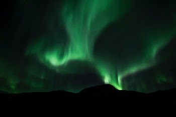 Free Photo of aurora, green, space