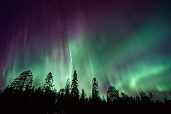Free Photo of aurora, green, stars