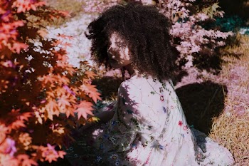 Free Photo of autumn, nature, plants