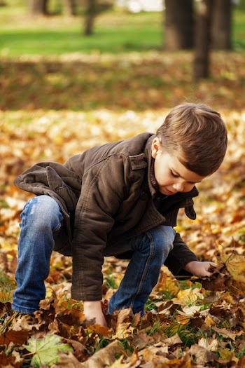 Free Photo of autumn, outdoors, games