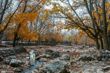 Free Photo of autumn, scenery, river