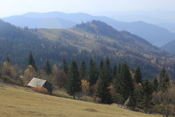 Free Photo of autumn, tree, hill