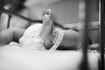 Free Photo of baby, birth, born