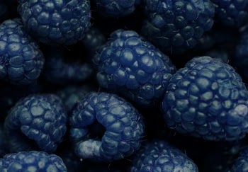 Free Photo of background, berry, blackberry
