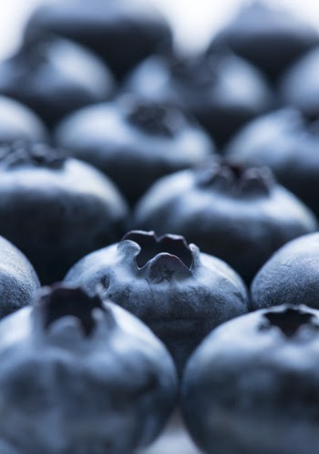 Free Photo of background, berry, blue