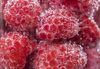 Free Photo of background, berry, breakfast
