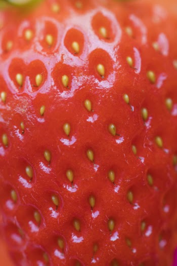 Free Photo of background, berry, closeup