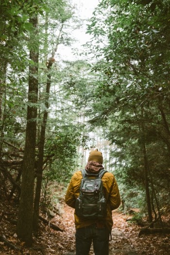 Free Photo of backpack, people, hiking