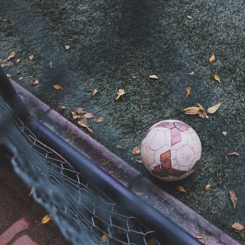 Free Photo of ball, sport, hobby