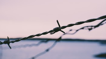 Free Photo of barb wires, security, sharp