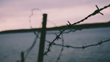 Free Photo of barb wires, security, sharp