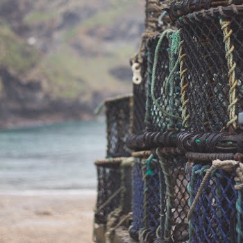 Free Photo of basket, net, fishing