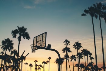 Free Photo of basketball, court, net