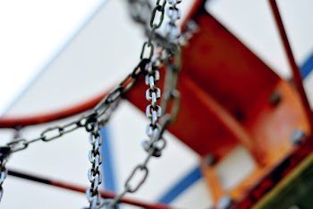 Free Photo of basketball, hoop, rim