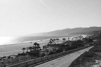 Free Photo of beach, boardwalk, sand