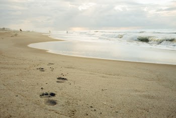Free Photo of beach, sand, footprints
