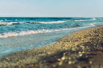 Free Photo of beach, sand, shore