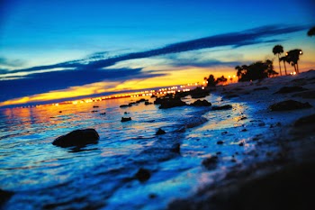 Free Photo of beach, sunset, dusk