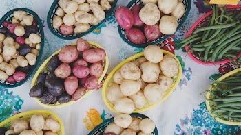 Free Photo of Beans, farm, food