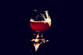 Free Photo of beer, glass, drink
