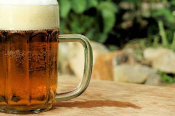 Free Photo of beer, pint, brew