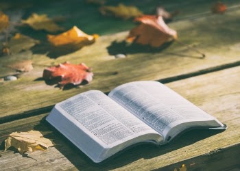 Free Photo of bible, book, reading