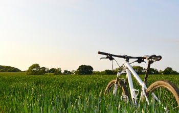 Free Photo of bicycle, bike, green