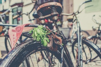 Free Photo of bicycle, tire, old