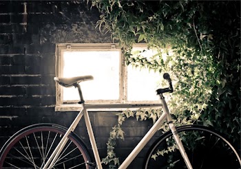 Free Photo of bike, bicycle, bricks