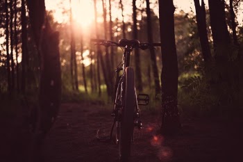 Free Photo of bike, bicycle, outdoor